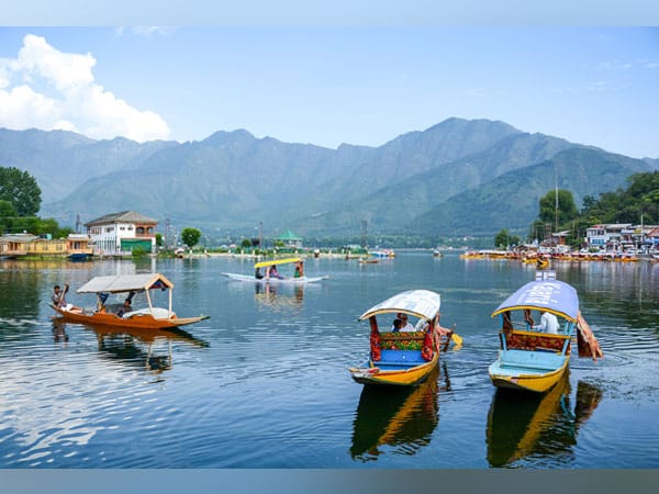 EXOTIC KASHMIR